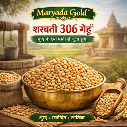 मर्यादा गोल्ड – शरबती 306 गेहूँ (30 किलो) – शुद्ध छने पानी से धुला